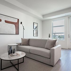 Level Suite